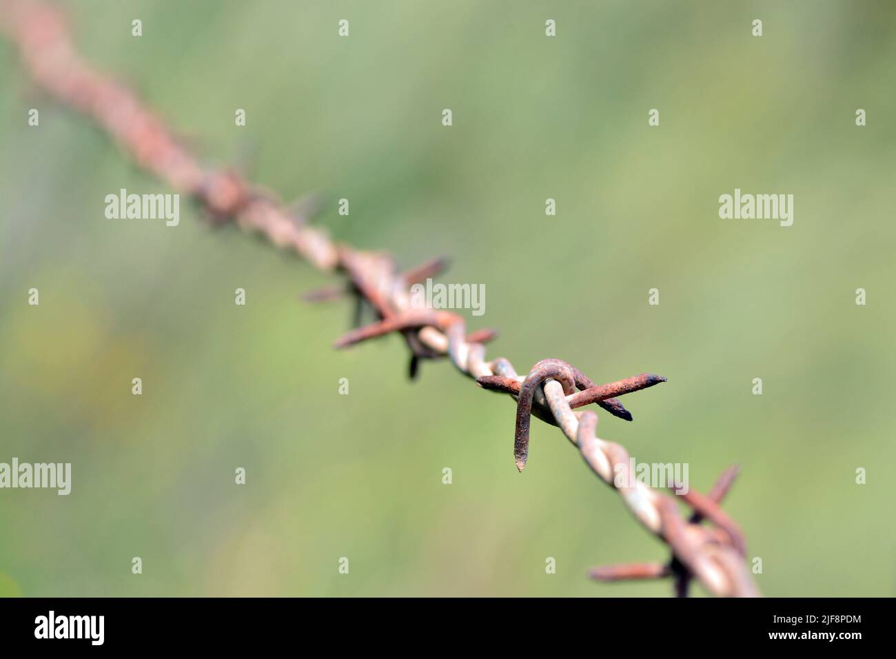 Metal alambre hi-res stock photography and images - Alamy