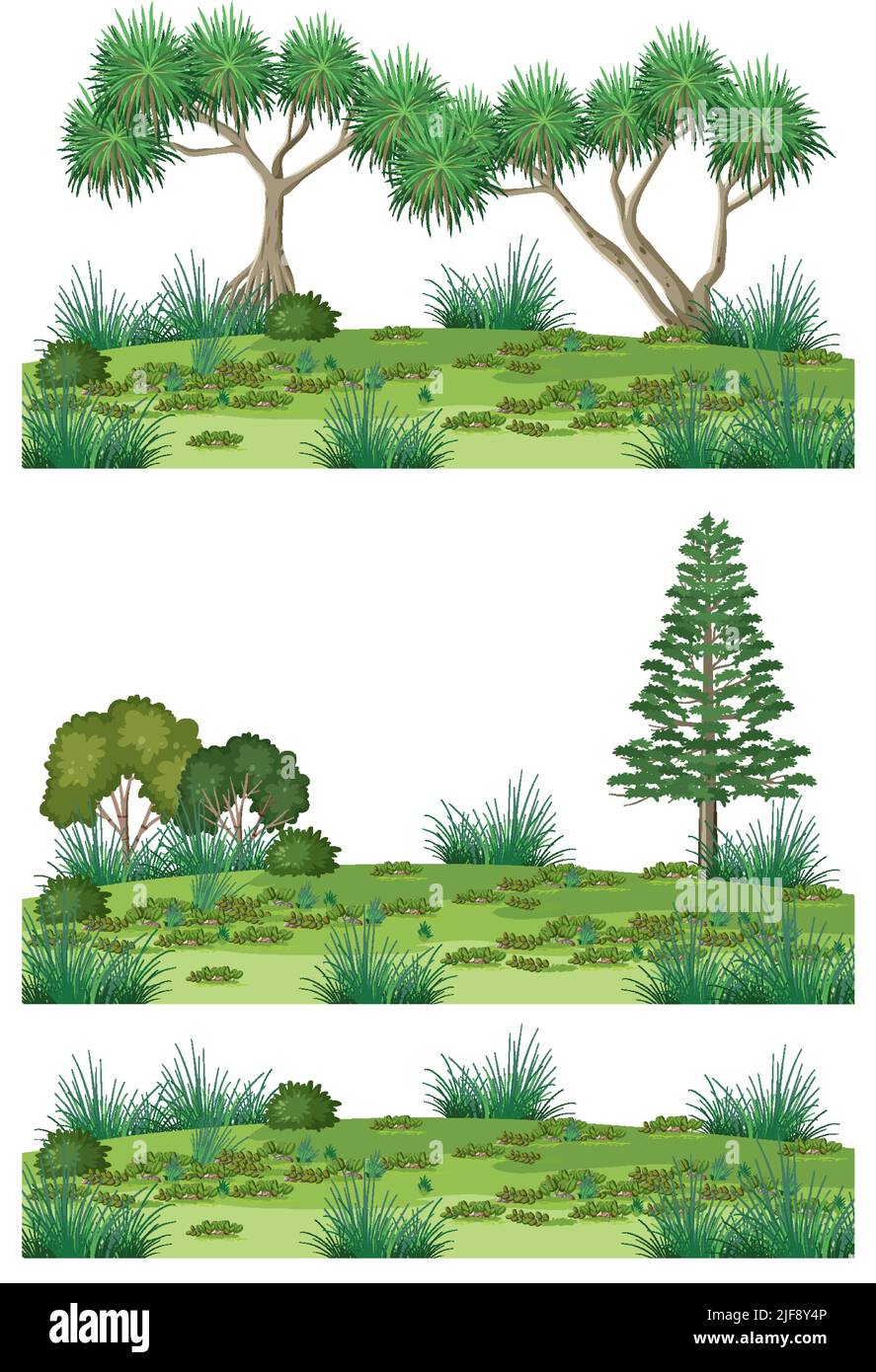 Isolated forests on white background illustration Stock Vector Image ...