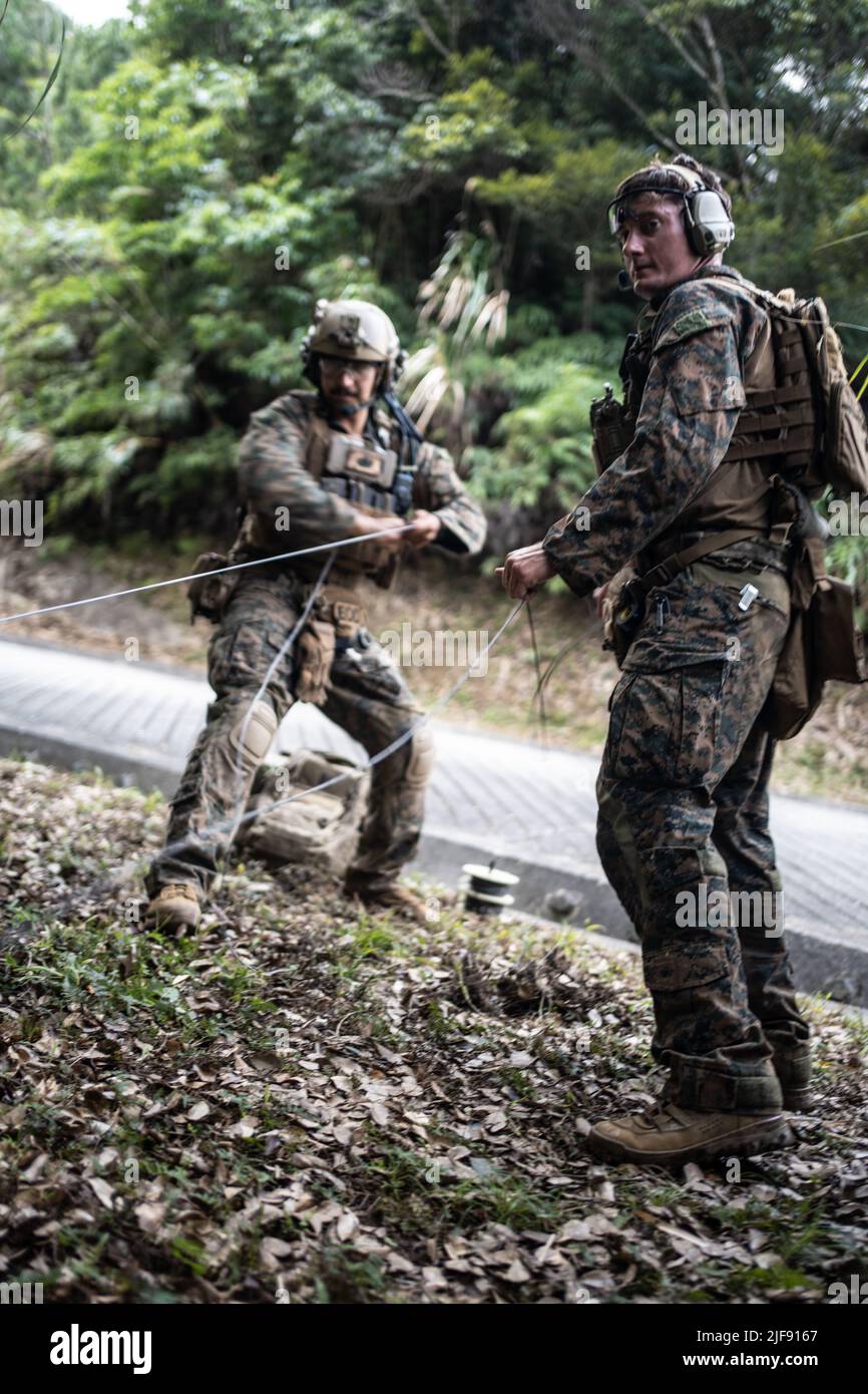 U.S. Marine Corps Sgt. Joel Walker, right, and Sgt. Robert Schiller both explosive ordnance technicians with 3rd EOD Company, 9th Engineer Support Battalion, 3rd Marine Logistics Group, conduct a remote pull during Jungle Crab 22 at Jungle Warfare Training Center, Okinawa, Japan, June 24, 2022. During Jungle Crab 22 EOD Marines prepared to support Expeditionary Advanced Base Operations by practicing survival methods in areas where logistical support may not be available. 3rd MLG, based out of Okinawa, Japan, is a forward deployed combat unit that serves as III Marine Expeditionary Force’s comp Stock Photo
