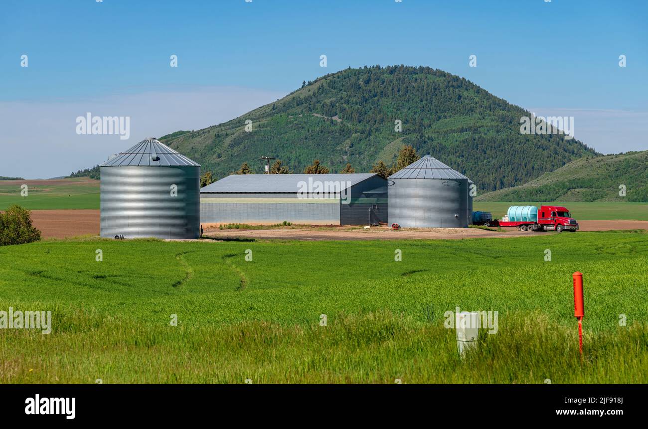 Idaho farmlands and grain storage facility in a country. Stock Photo