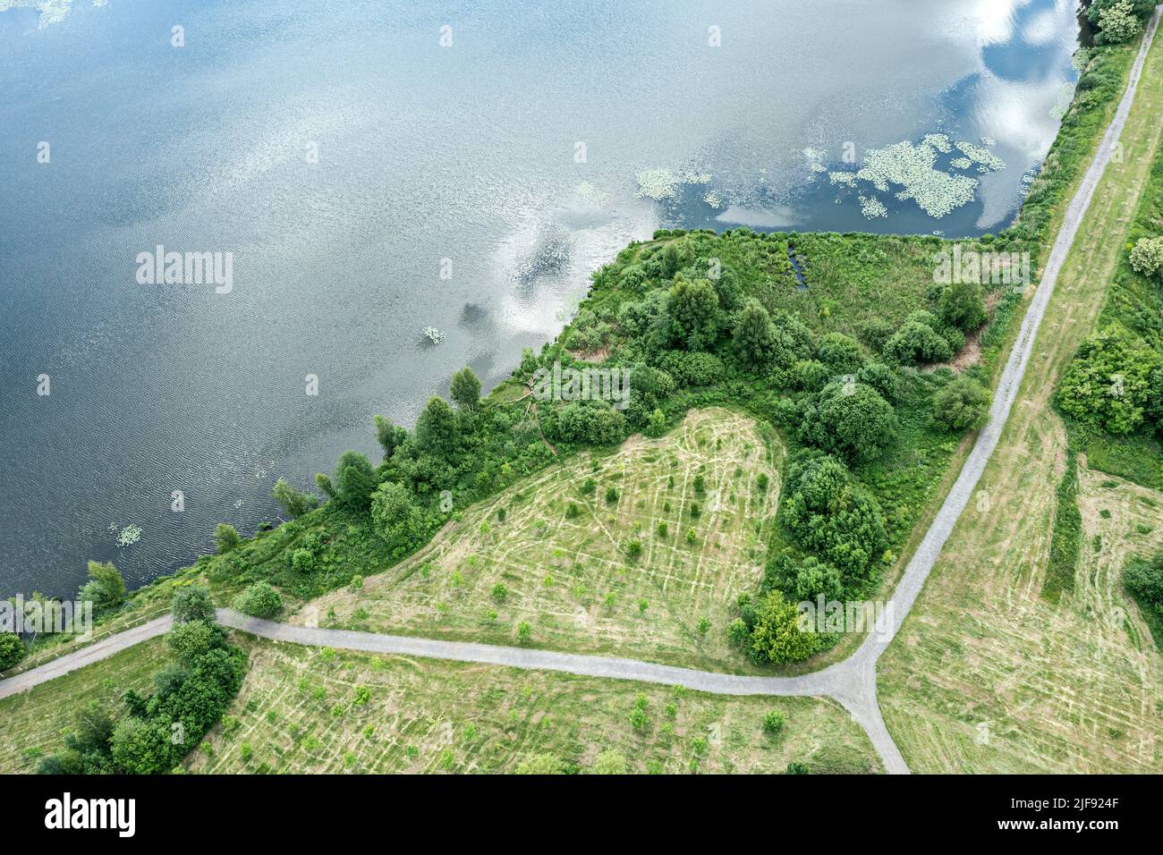 summer green landscape. pedestrian paths or bike lane on lake shore. aerial overhead view. Stock Photo