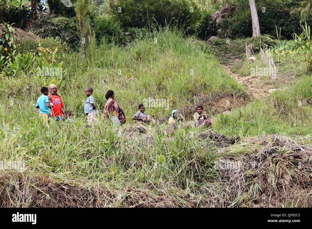 Nine people in the highlands of Papua, sitting and standing in the grass, next to a mountain path at the edge of the forest in Papua, Indonesia. Stock Photo