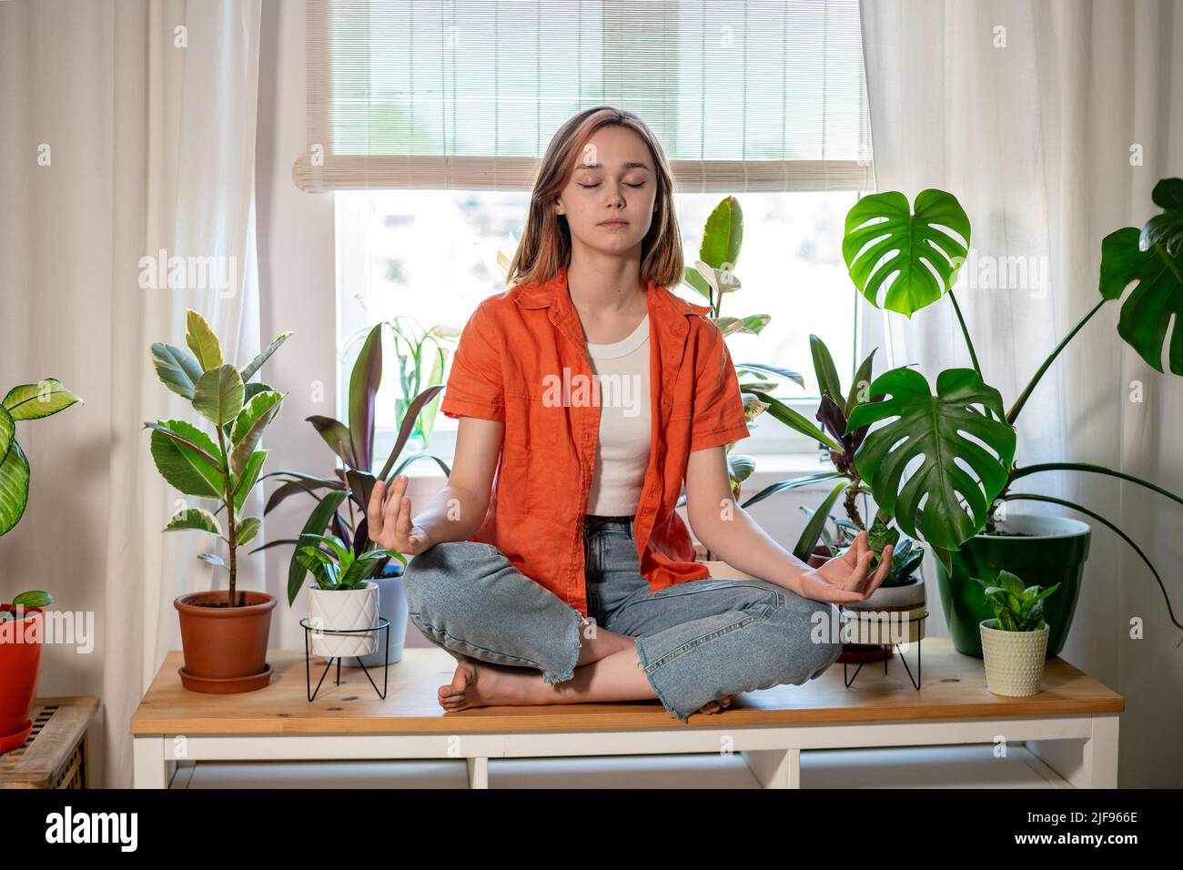 Mindful calm beautiful business woman sit at home office among house plants do yoga exercise, take break, relax eyes closed. Young female freelancer meditate at workplace in lotus position, feel zen, no stress, peace of mind concept. Stock Photo