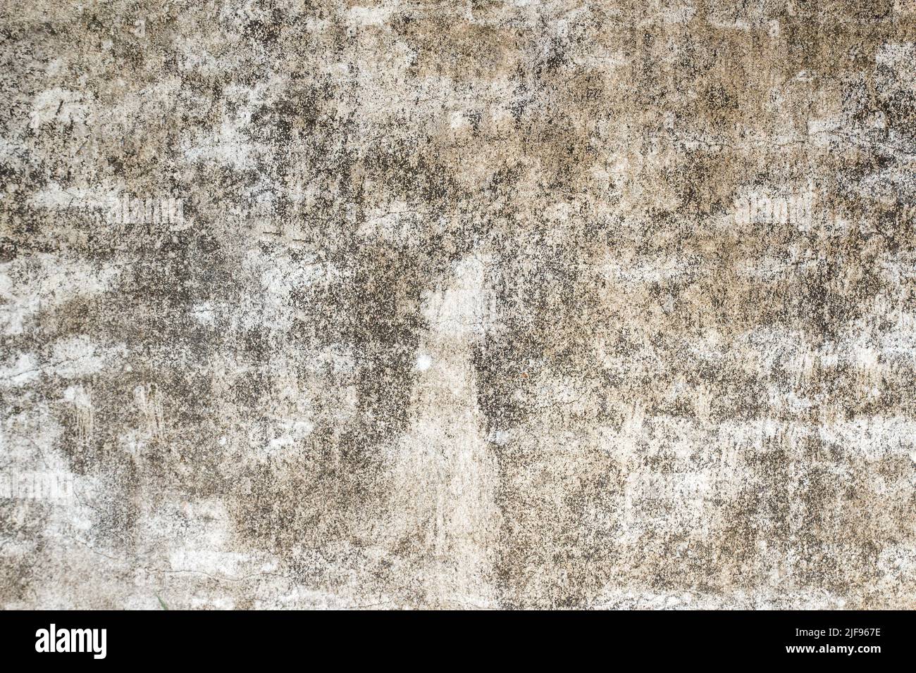 Hi res grunge wall background and texture for any design Stock Photo ...
