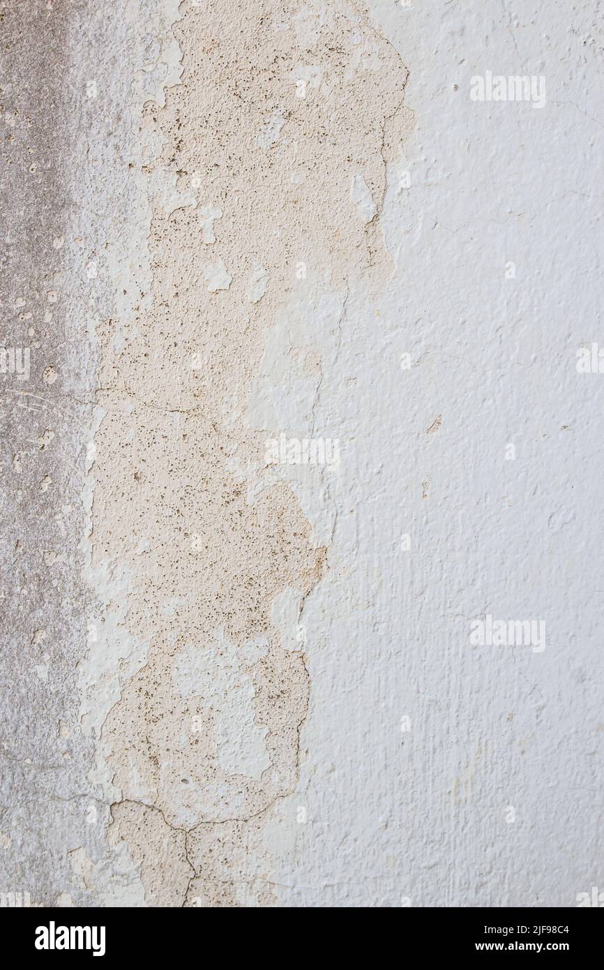 Hi res grunge wall background and texture for any design Stock Photo ...