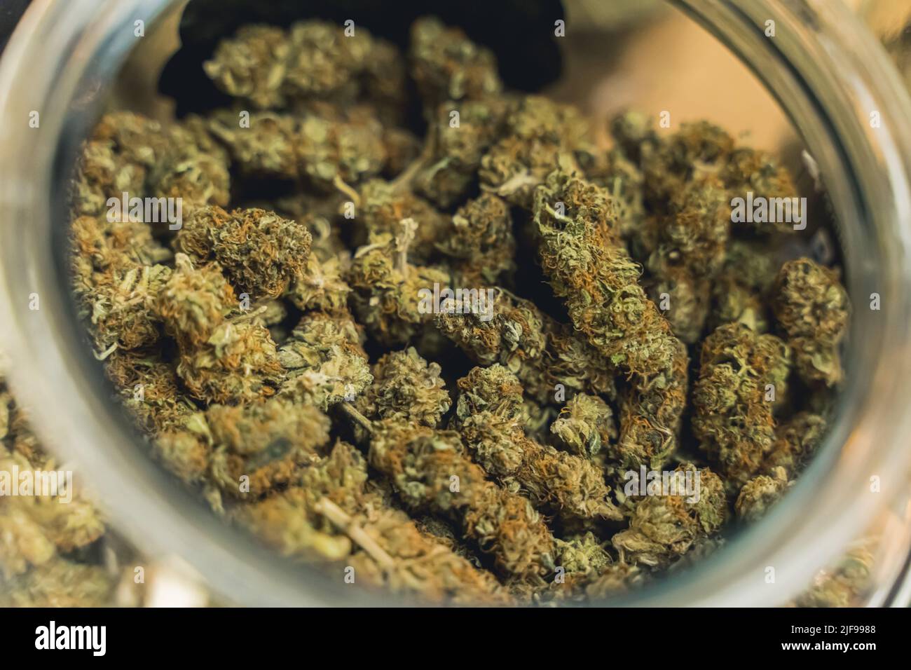 Modern alternative medicine concept. CBD CBG marijuana weed tops in a glass jar. Closeup shot. High quality photo Stock Photo