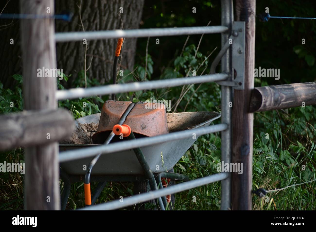 Collector for road apple on a wheelbarrow behind a gate Stock Photo