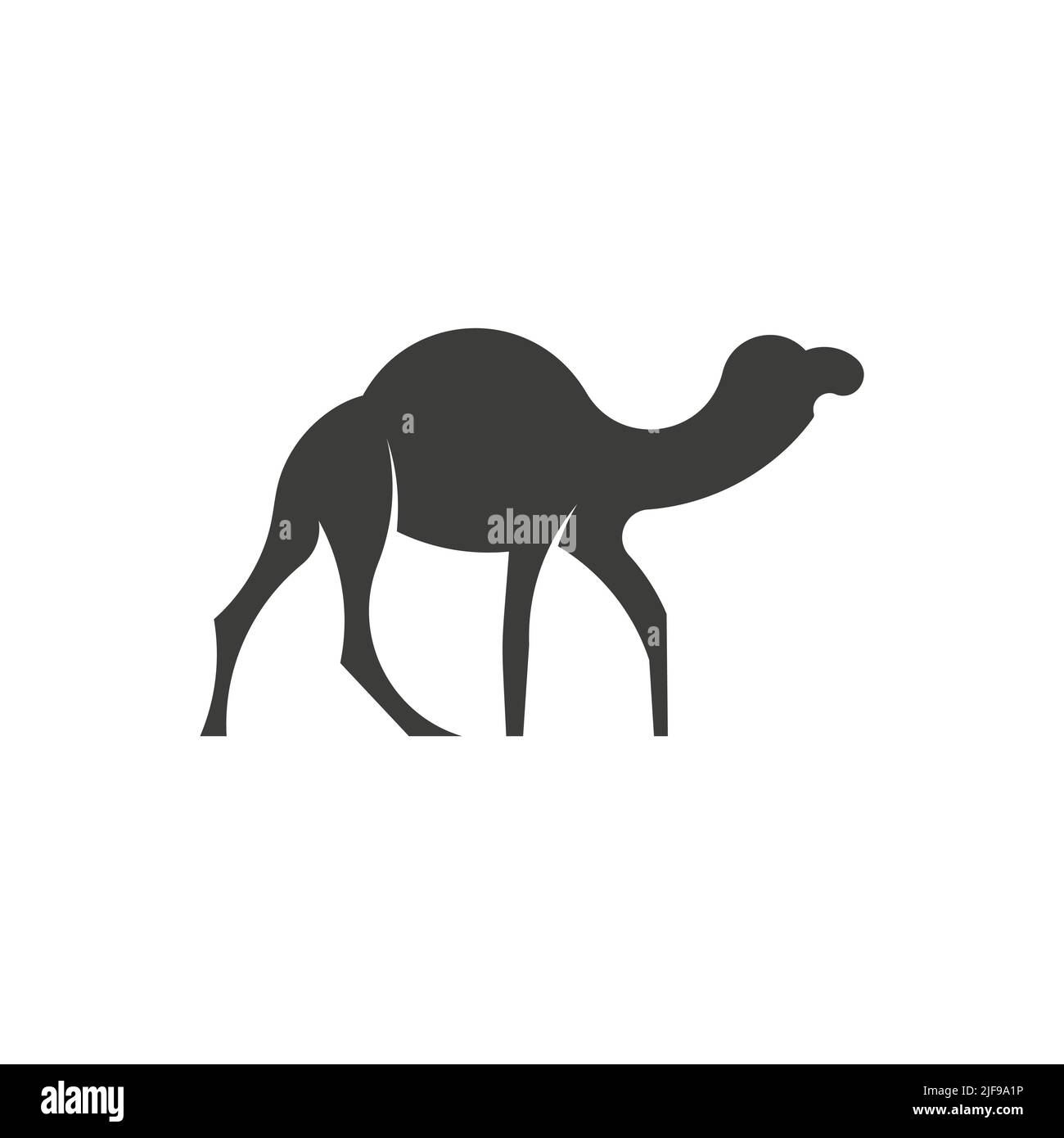 Camel logo isolated on white background. Camel vector template, black