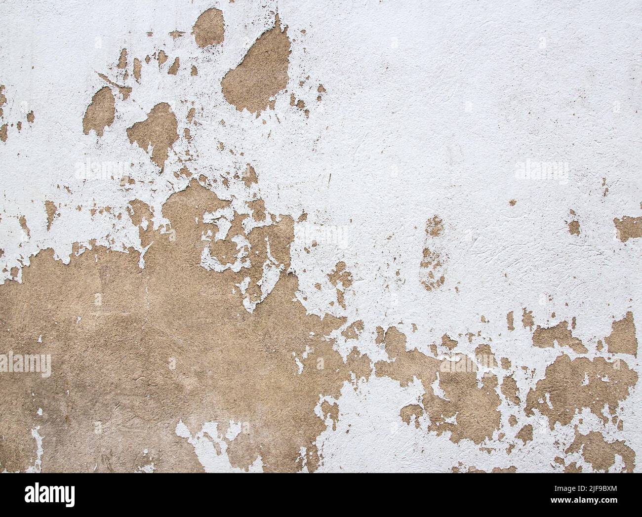 Hi res white grunge background for any design Stock Photo - Alamy