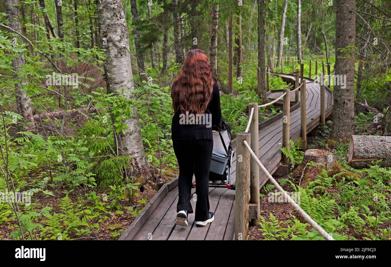 Umea, Norrland Sweden - June 17, 2021: big sister pulls pram through dense forest Stock Photo