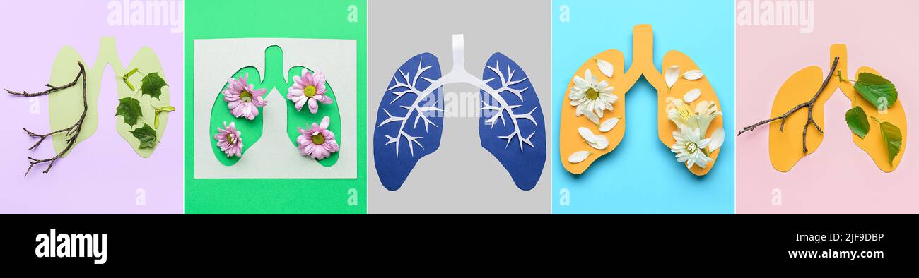 Collage of paper human lungs on color background, top view Stock Photo