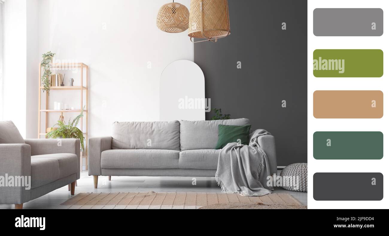 Light Color Interior Color Interior of light living room with sofas. Different color patterns ...