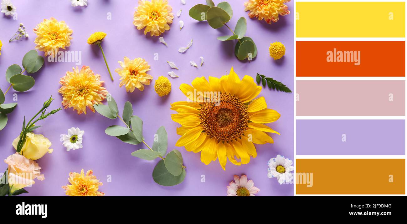 Beautiful composition with flowers on lilac background. Different color ...