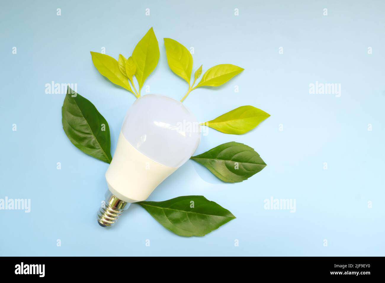Save electricity, lights off, idea and innovation environmental conservation concept. Light bulb with fresh green leaves flat lay. Stock Photo