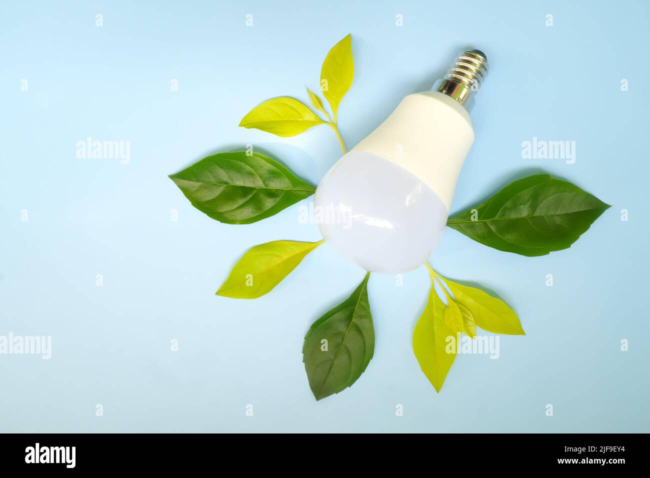 Save electricity, lights off, idea and innovation environmental conservation concept. Light bulb with fresh green leaves flat lay. Stock Photo