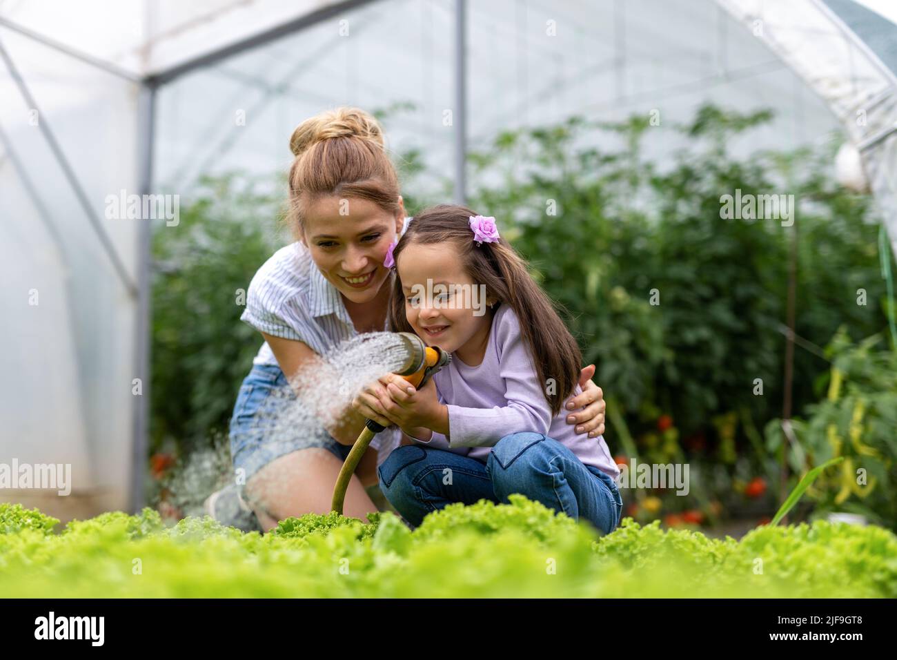 Happy family working in organic greenhouse. Woman and child growing bio plants in farm garden. Stock Photo