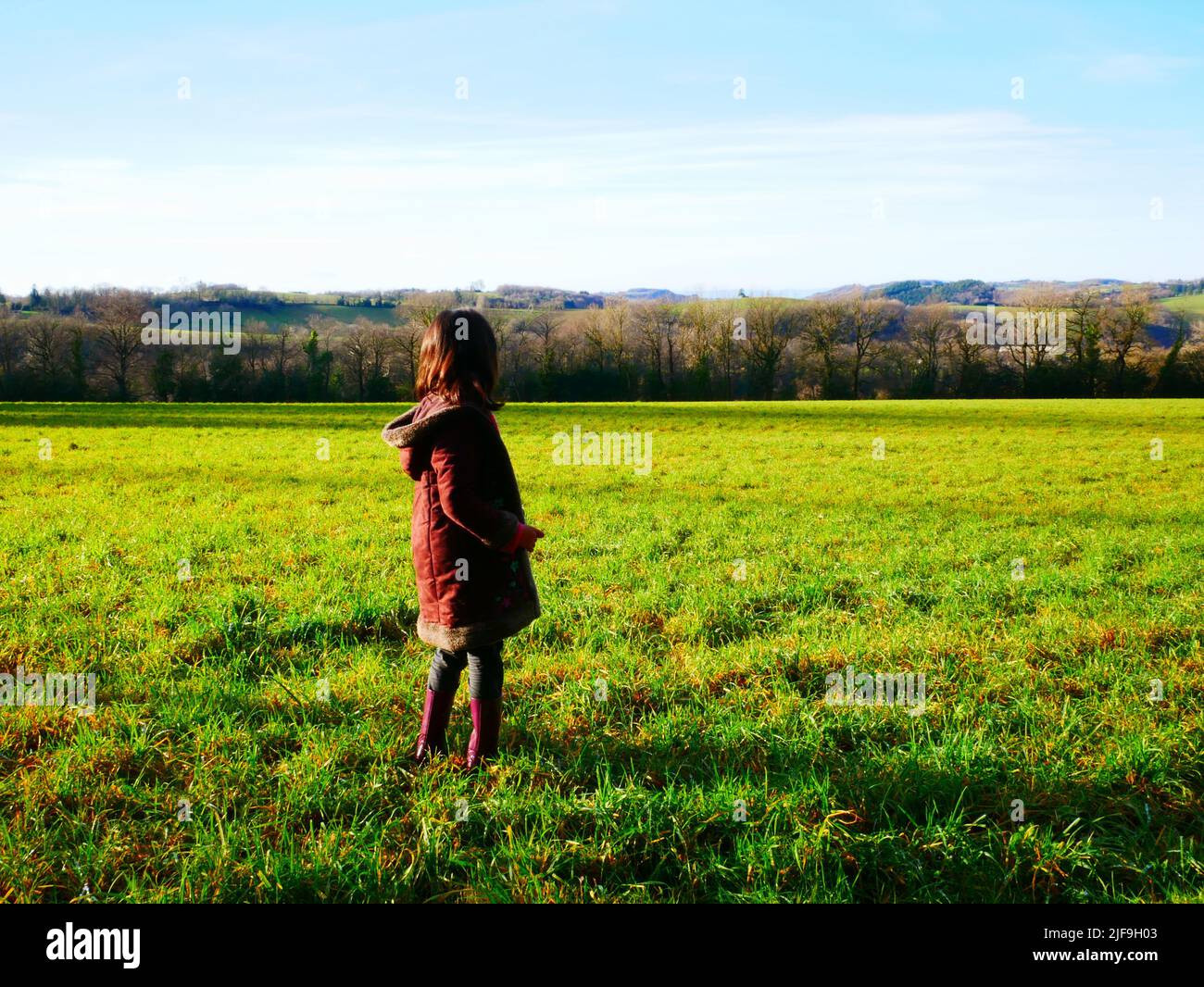 Beautiful photo of a little girl seen from behind in the middle of a field Stock Photo