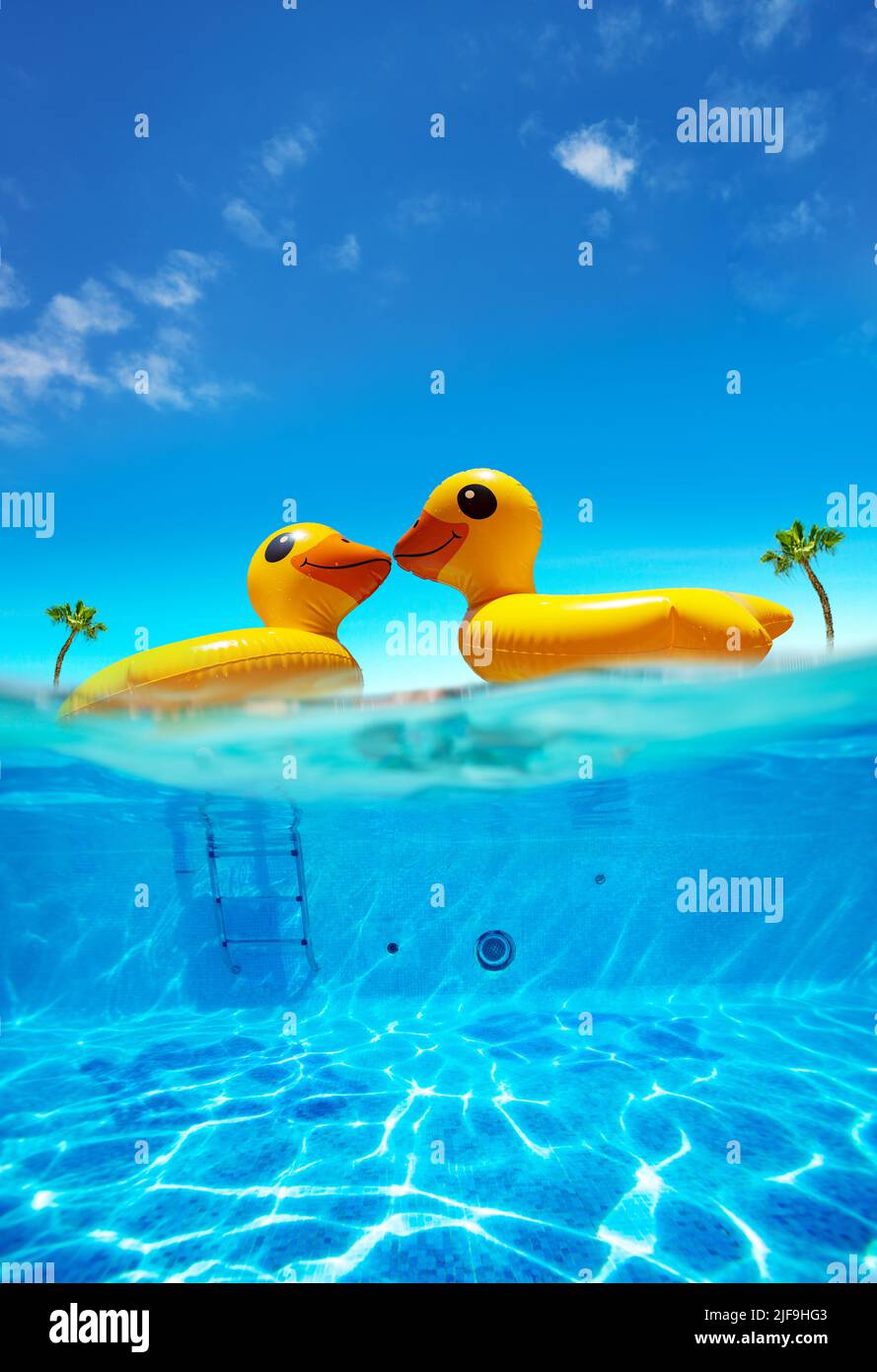 Two kissing half inflatable swimming ducks underwater split shot Stock Photo