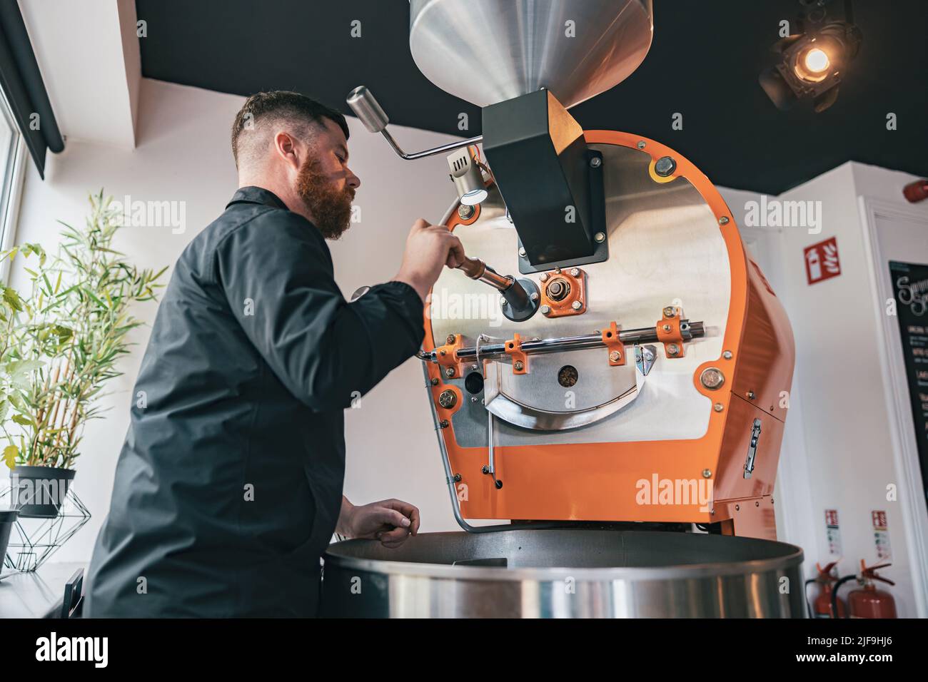 Professional barista operating modern coffee bean roasting machine Stock Photo