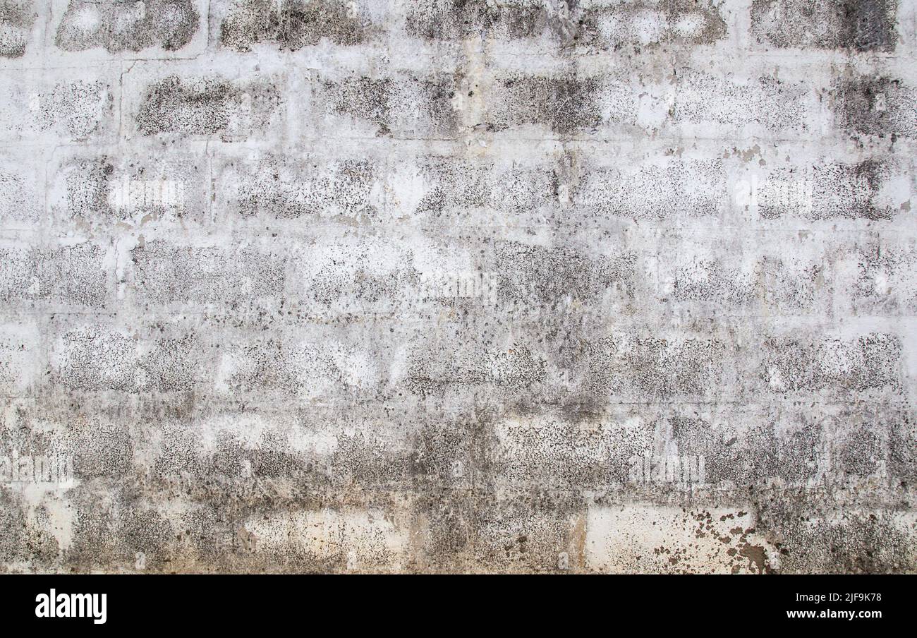 Hi res white grunge background for any design Stock Photo - Alamy