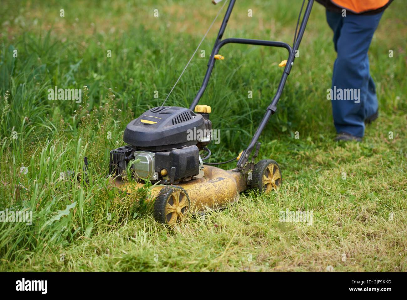 Petrol lawn mower cuts overgrown grass. Stock Photo
