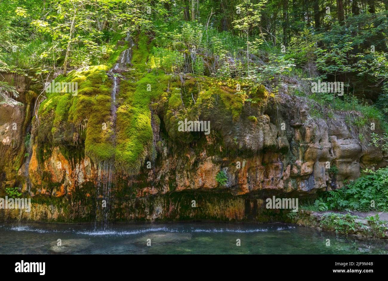 waterfall with green moss and plants in luxemburg Stock Photo