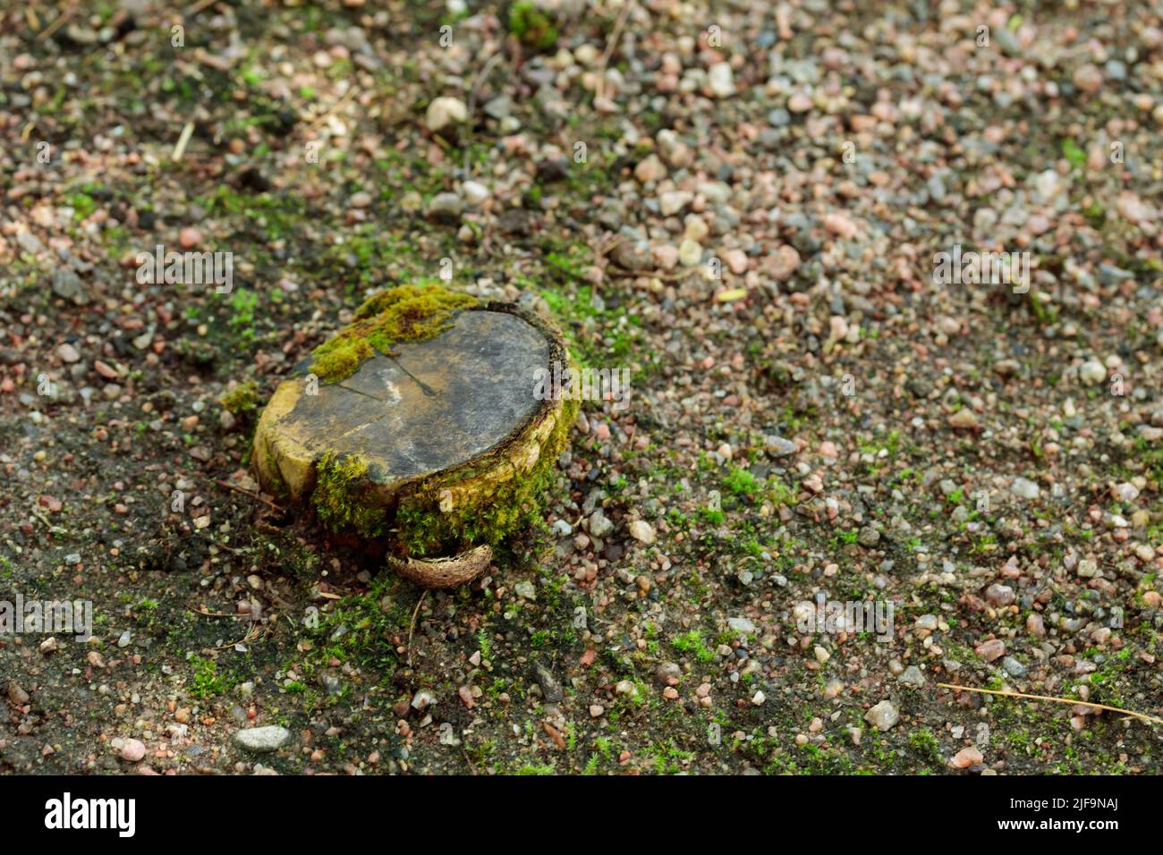 Seamless dirt road texture background top view Stock Photo