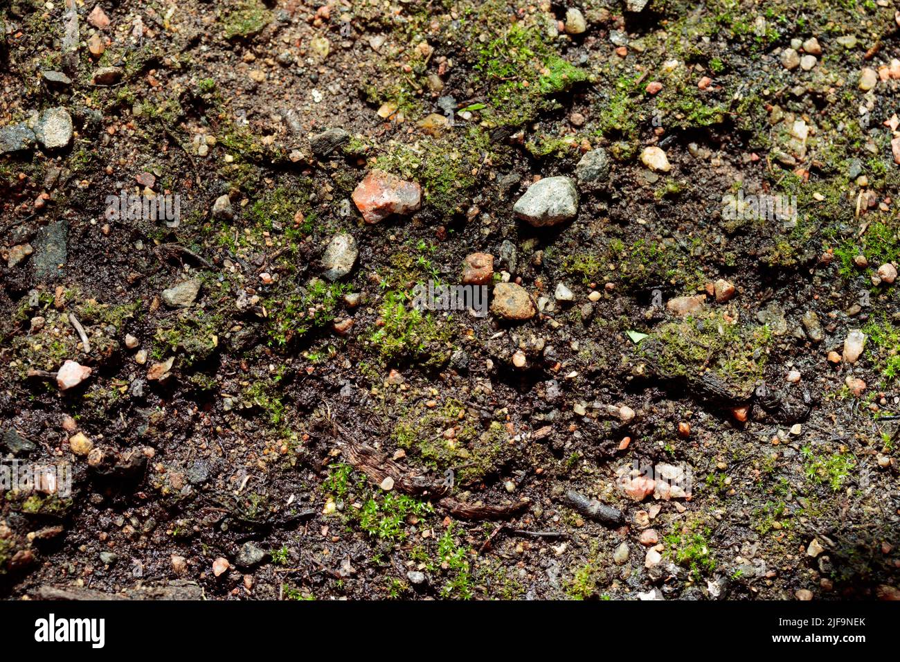 Seamless dirt road texture background top view Stock Photo