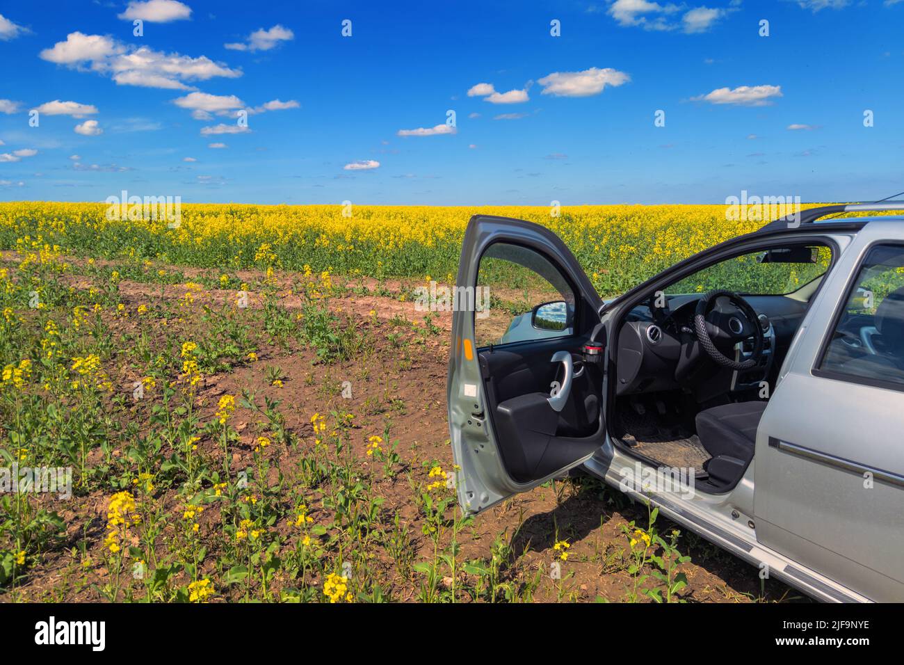 small silver car in rapseed field with open door at sunny noon Stock