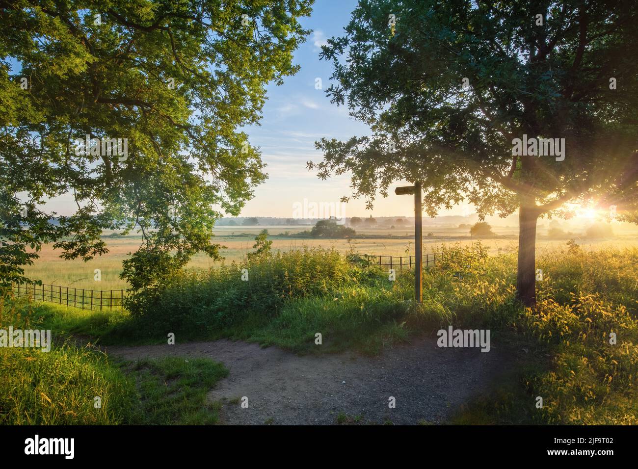 Footpath trail at sunrise over rural Norfolk in English fields and meadows with trees and dawn sunlight Stock Photo