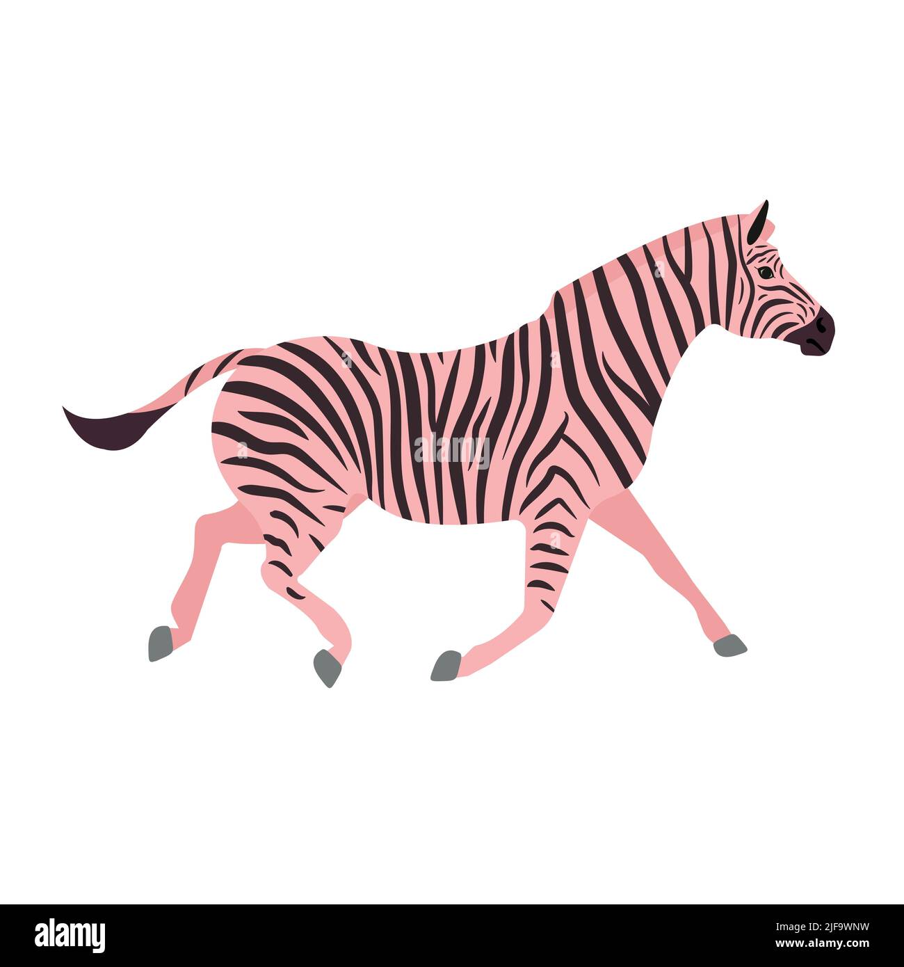 Vector flat pink zebra isolated on white background Stock Vector Image ...