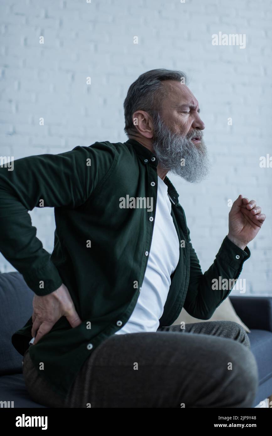 bearded senior man with beard sitting on couch and touching back while ...