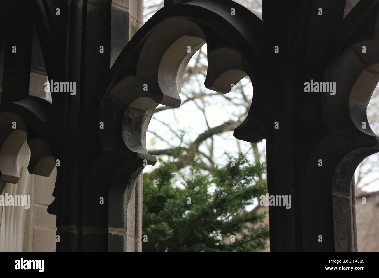 Closeup of a silhouette of a floral themed arch looking out into the ...