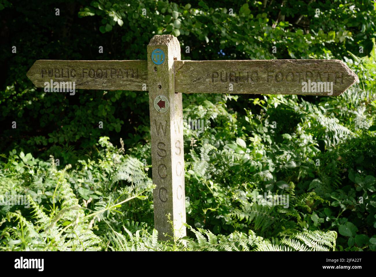 A public footpath path sign in Sussex, England, UK. Stock Photo