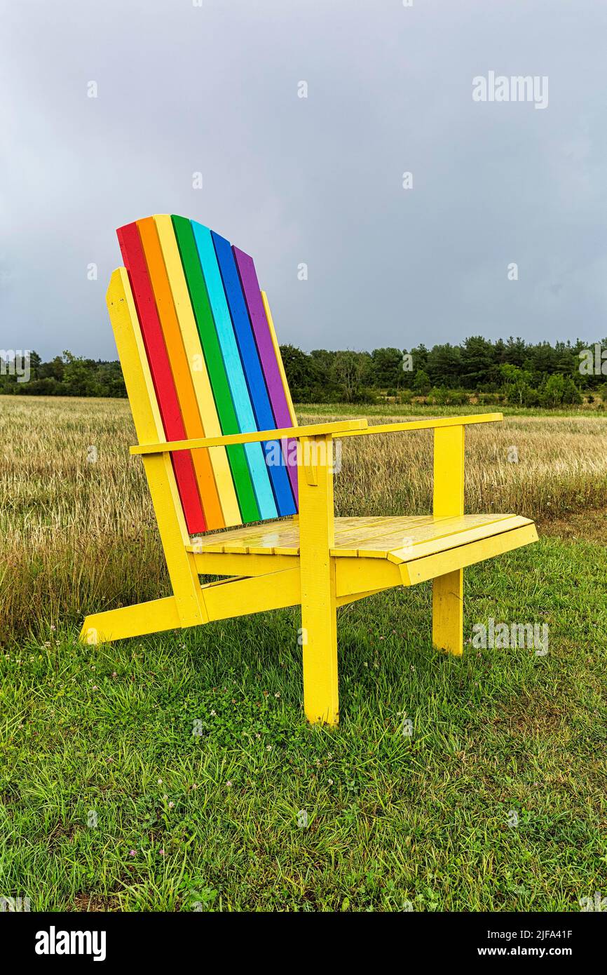 Yellow wooden chair, back painted in rainbow colours, standing in a meadow, oversized, dreary, rainy weather, Gotland Island, Sweden Stock Photo