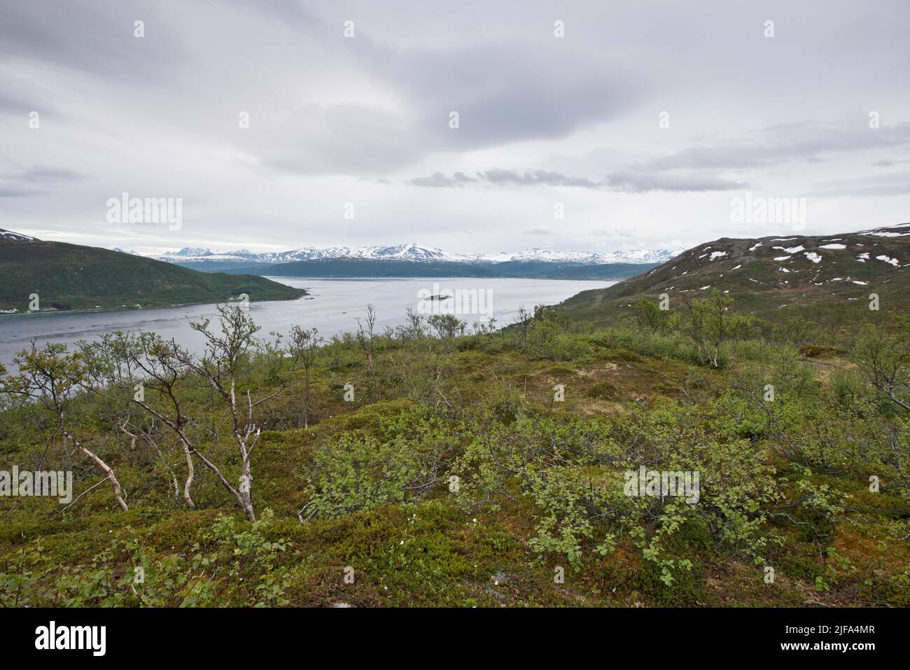 Fjell Landscape, Kvaloya, Norway Stock Photo