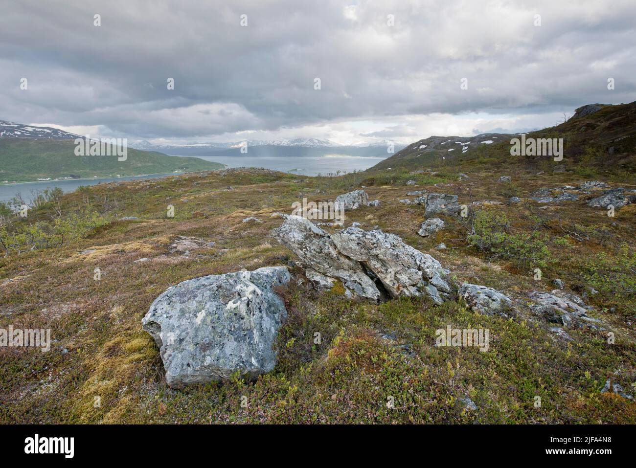 Fjell Landscape, Kvaloya, Norway Stock Photo