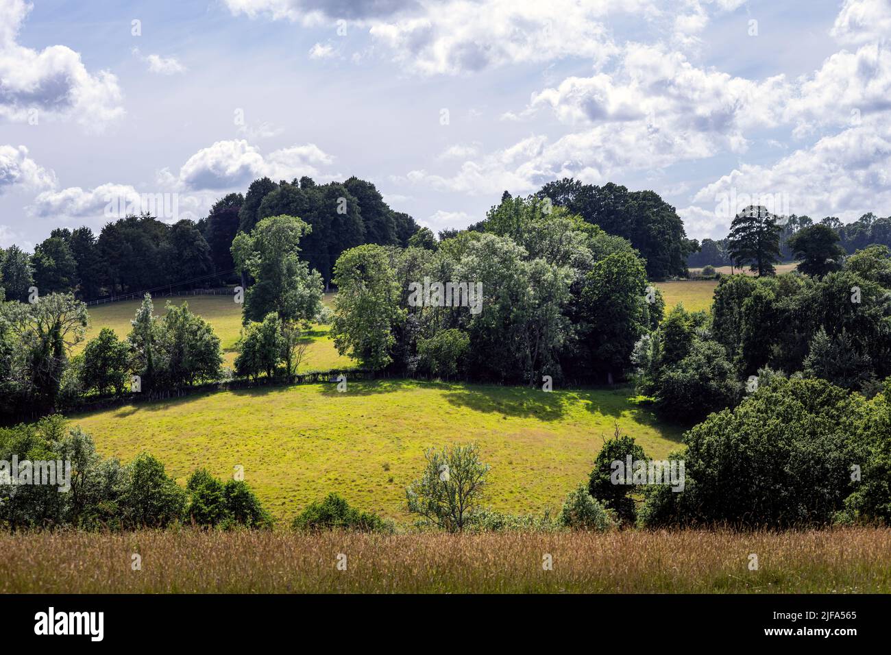 Landscape in Wealden in summer, East Sussex, England Stock Photo