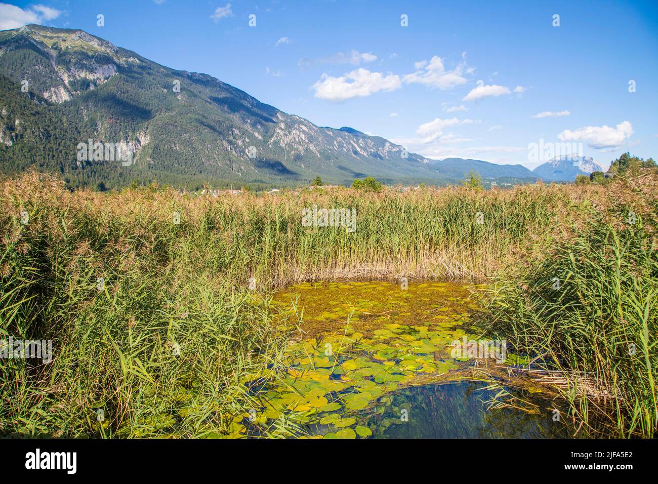 Slow Trail, Pressegger See, Slow Food Region, near Hermagor, Gailtal, Carinthia Stock Photo