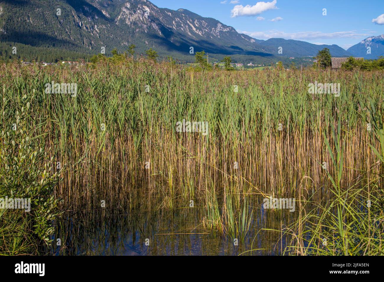 Slow Trail, Pressegger See, Slow Food Region, near Hermagor, Gailtal, Carinthia Stock Photo