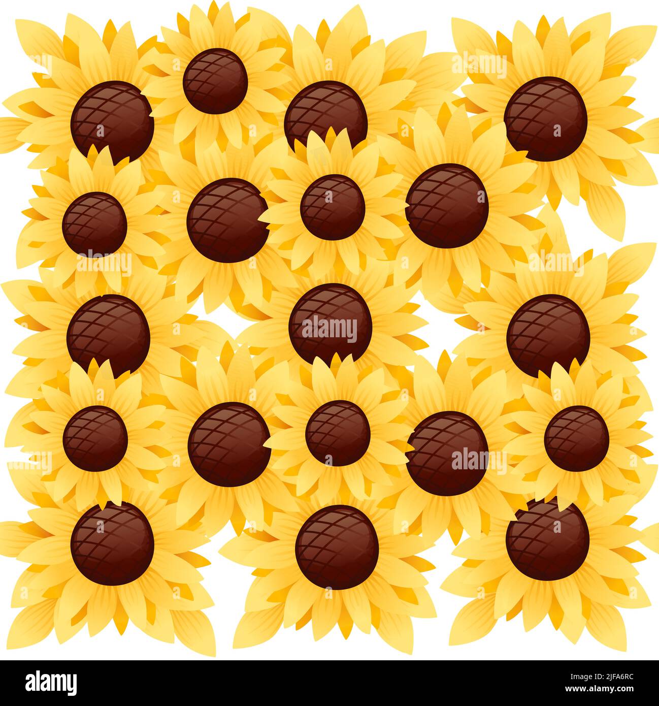 Seamless pattern sunflowers and seeds vector illustration on white ...