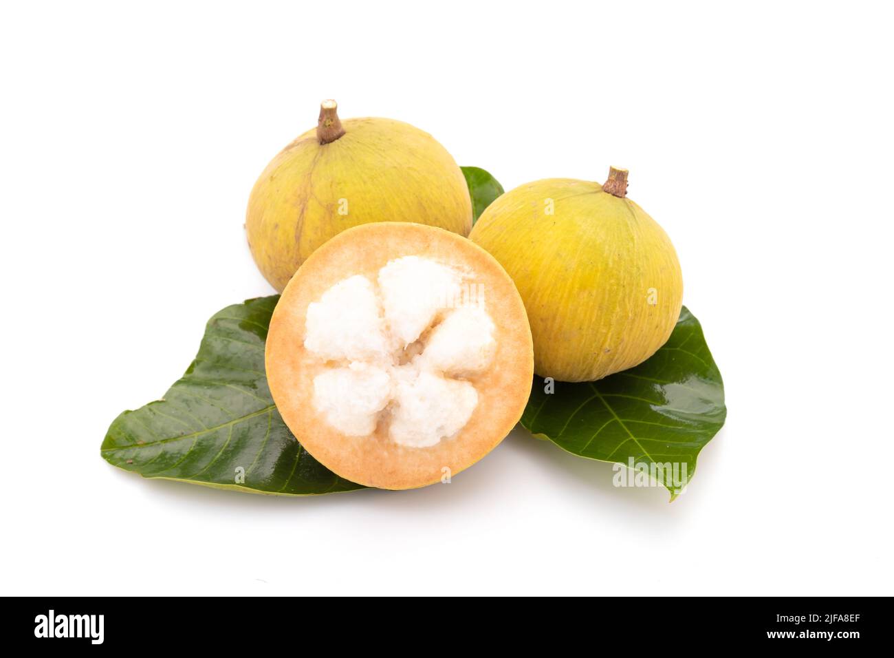 Santol Fruit Hi Res Stock Photography And Images Alamy