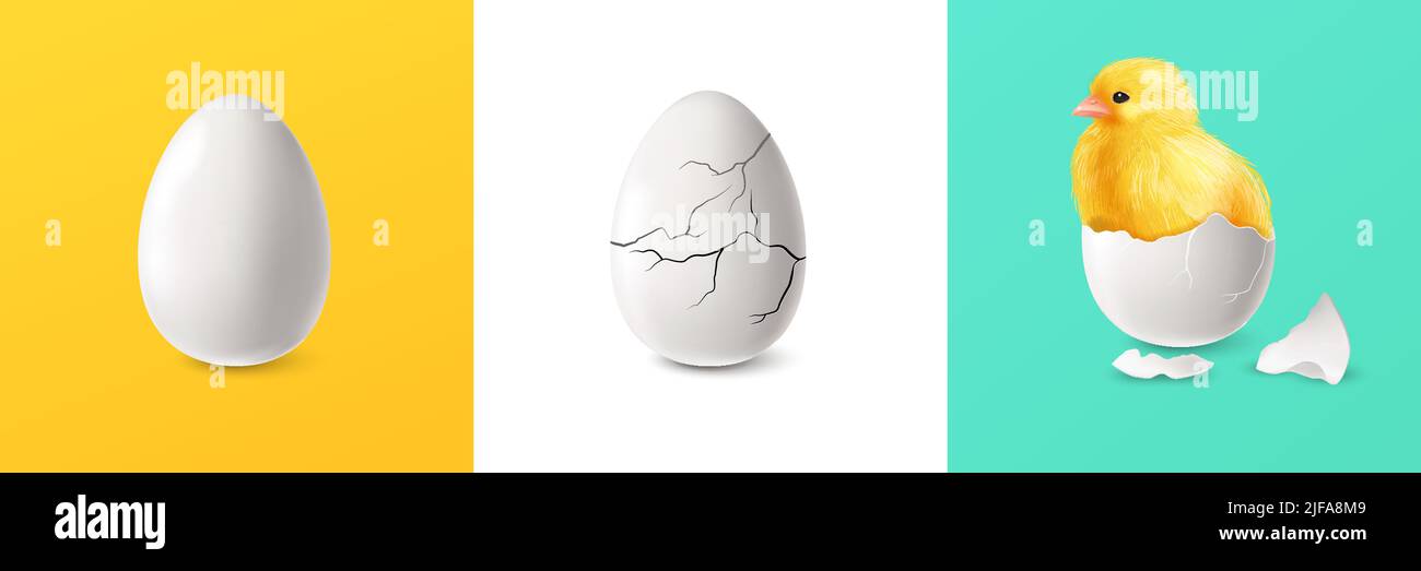Realistic cracked egg and chicken square set isolated vector illustration Stock Vector
