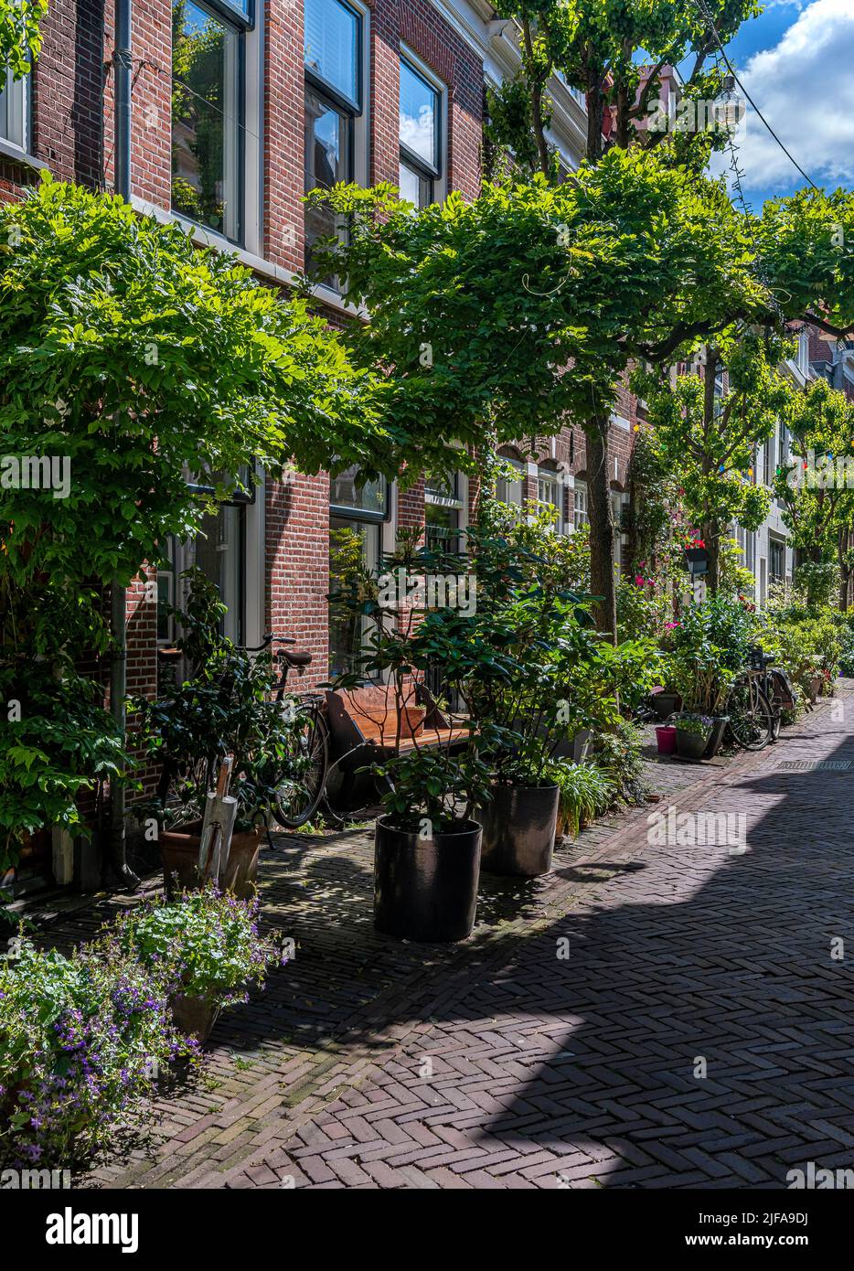 Pretty, narrow streets lined with plants and flower in the beautiful