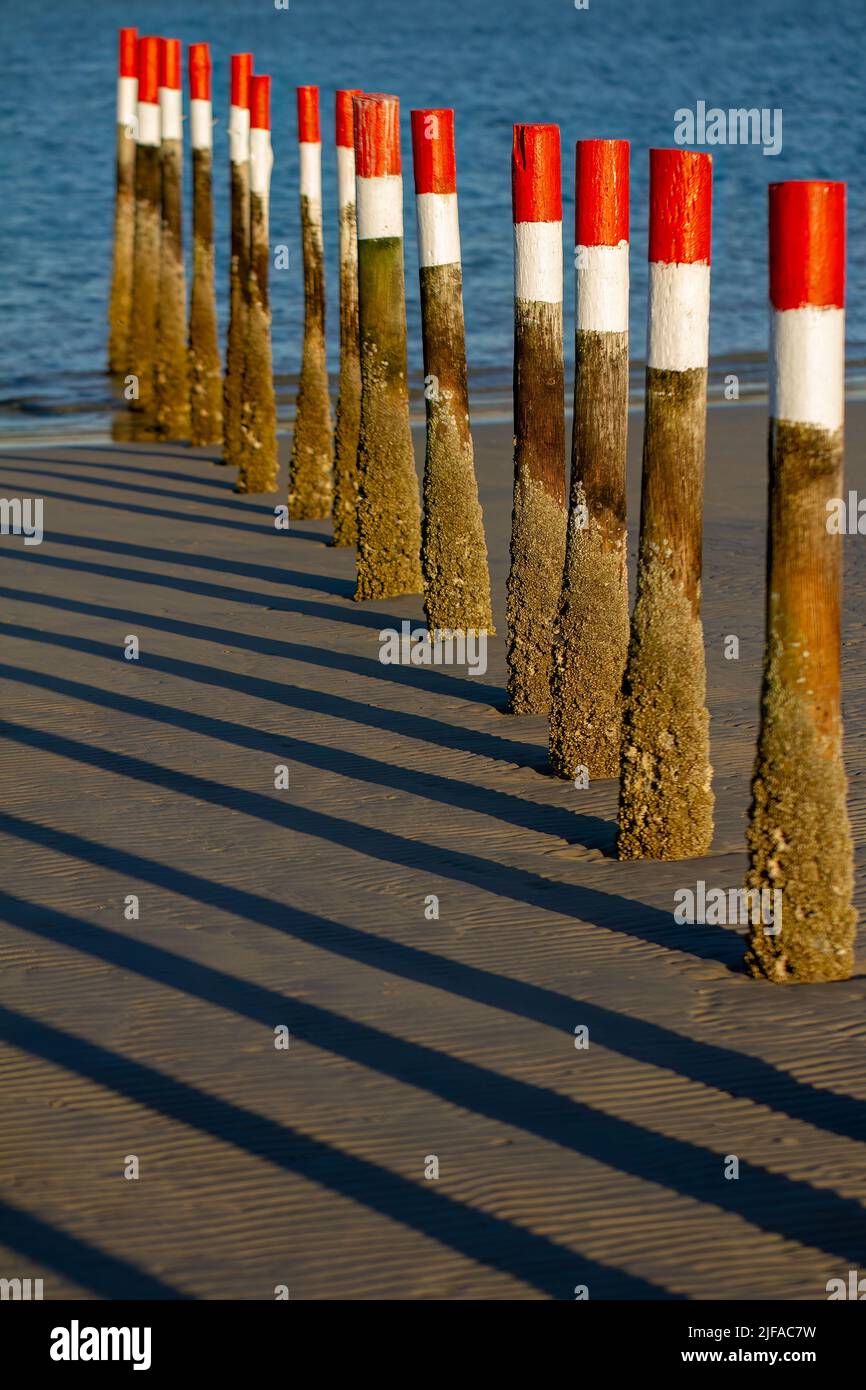 Red and white painted wooden bollard markers in the lagoon. Stock Photo