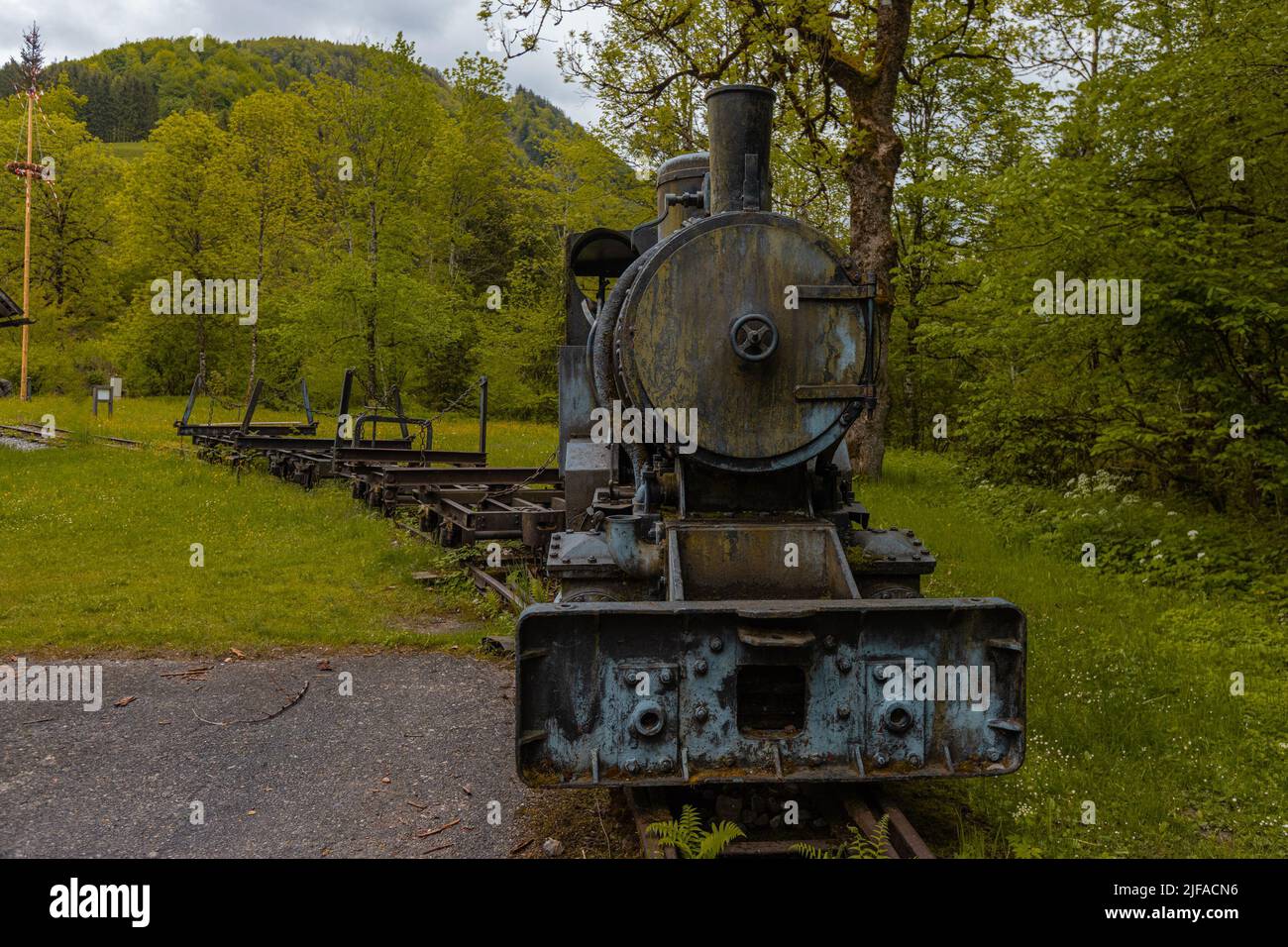 Waldbahn Reichraming, old museum narrow gauge railway close to Reichraming, Austria. View of the steam engine and a row of wagons behind. Stock Photo