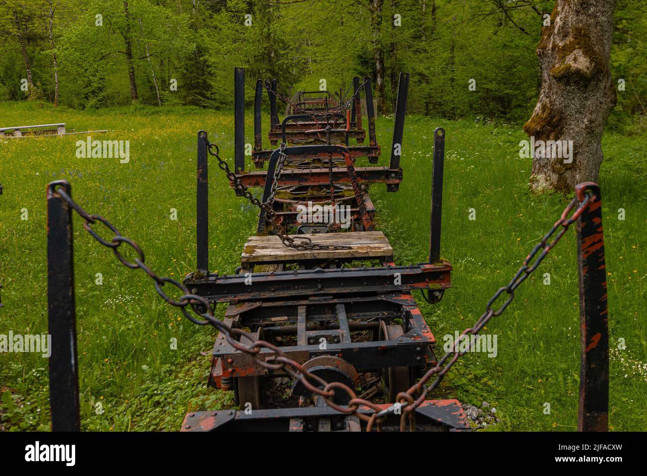 Waldbahn Reichraming, old museum narrow gauge railway close to Reichraming, Austria. Visible trucks or wagons for wood. Stock Photo