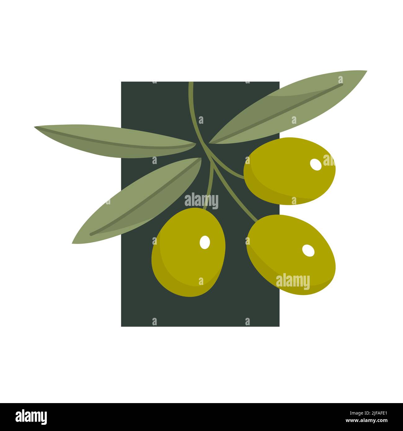 Branch of olive with green leaves. Delicious fruit for seasoning and