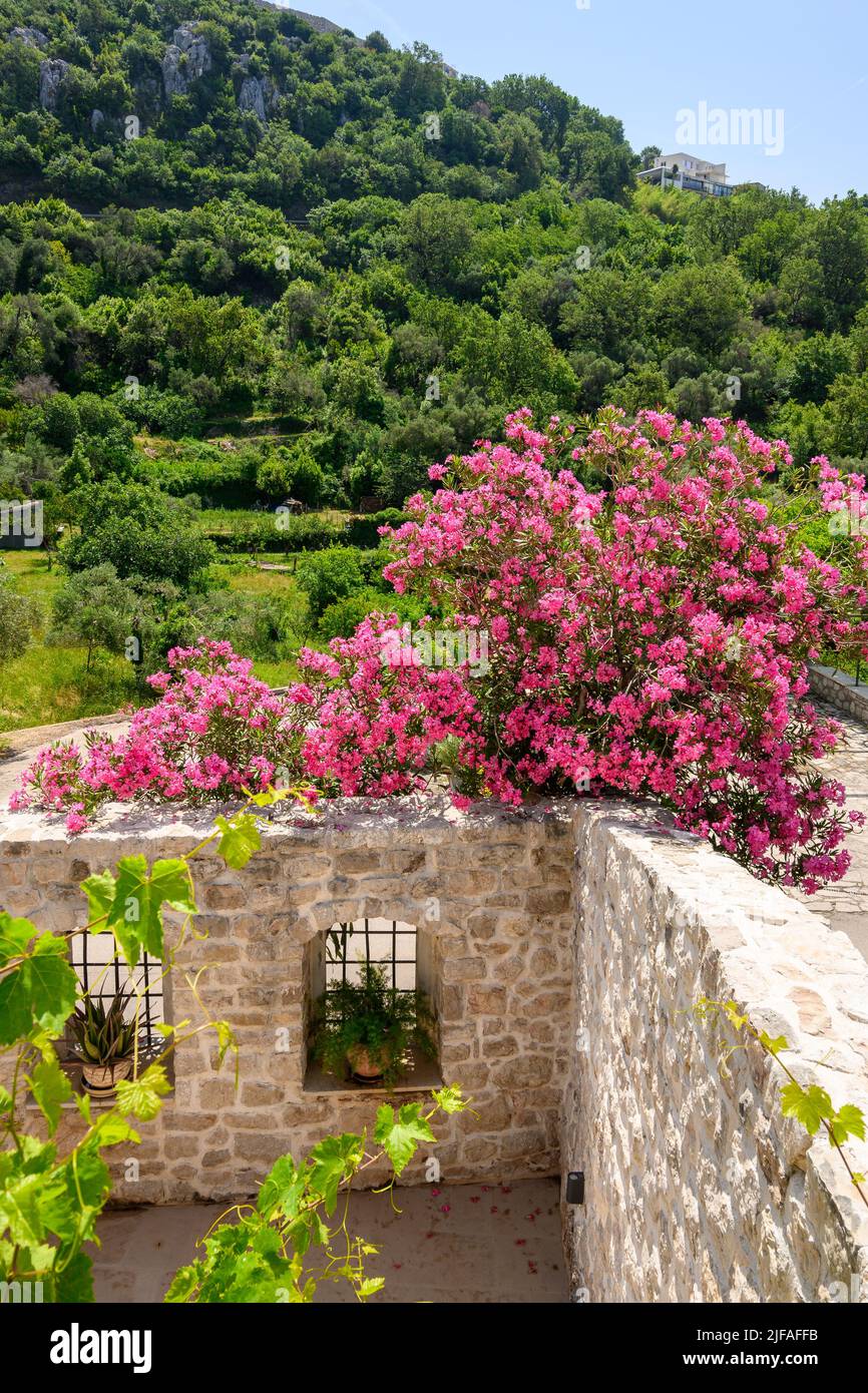 Traditional stone house decorated with flowers in Rijeka Rezevici