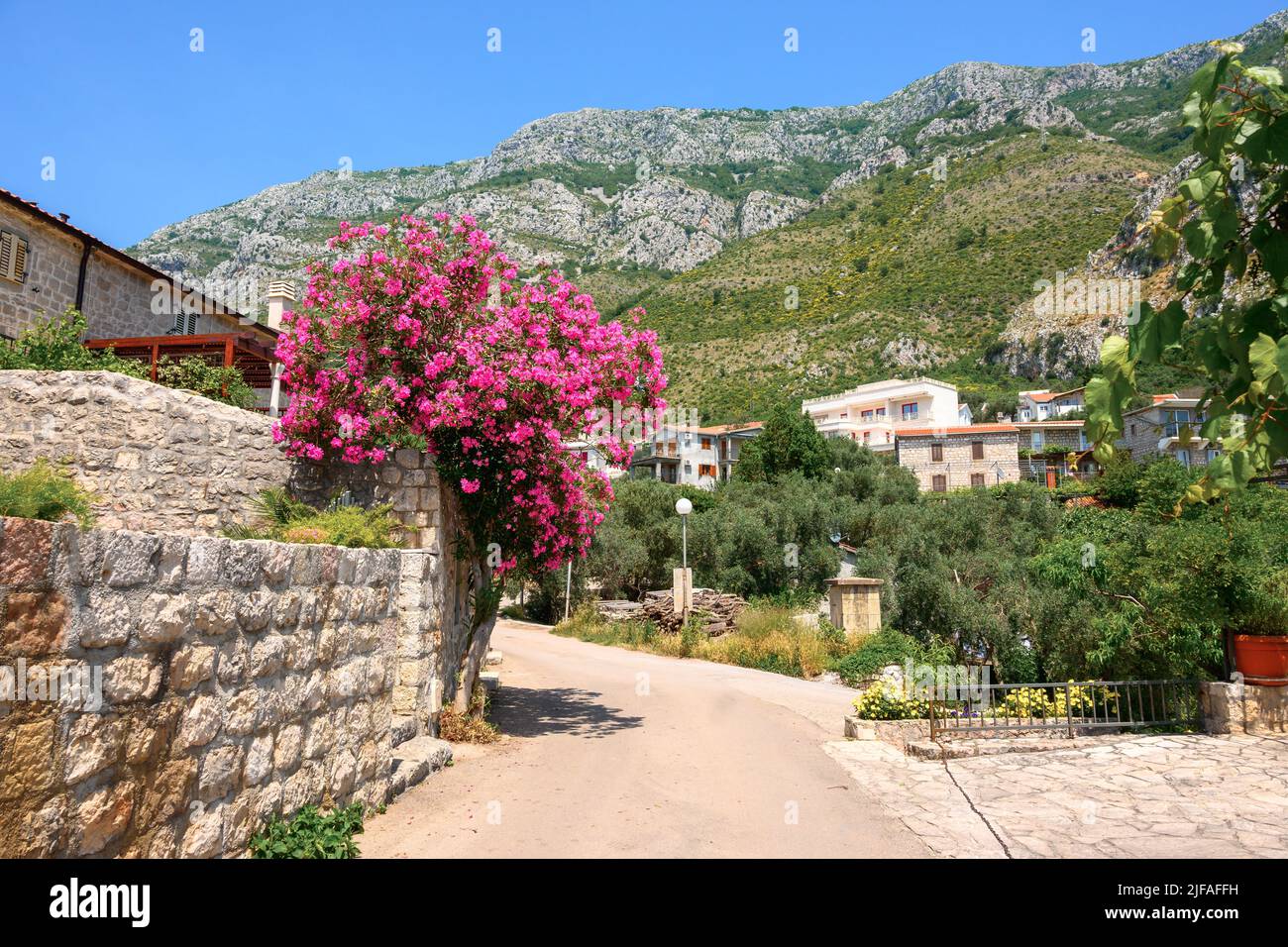Street with summer flowers in Rijeka Rezevici. Montenegro, Europe Stock